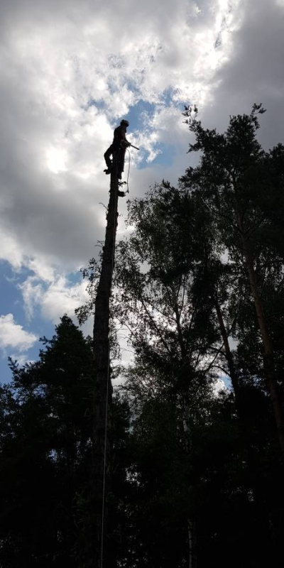 projekt bez nazwy (25)