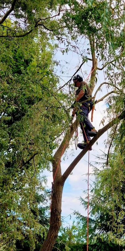 projekt bez nazwy (26)