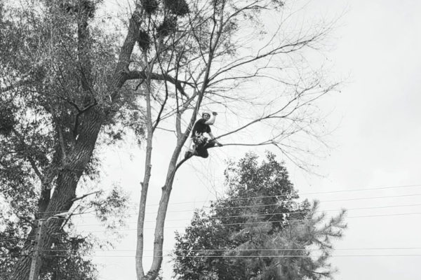 projekt bez nazwy (27)