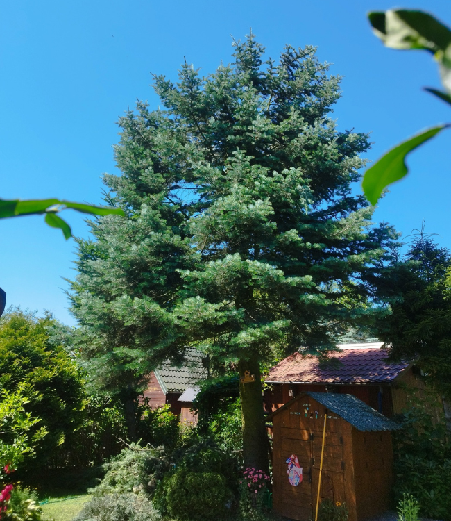 projekt bez nazwy (27)