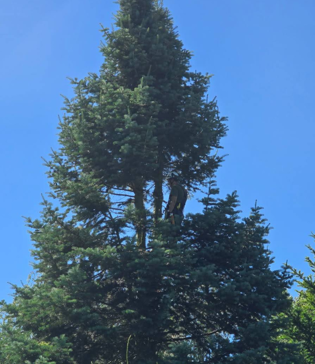 projekt bez nazwy (29)