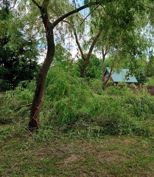 projekt bez nazwy (27)