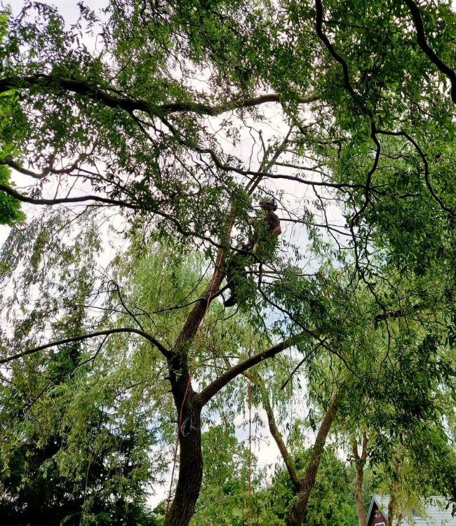 projekt bez nazwy (28)