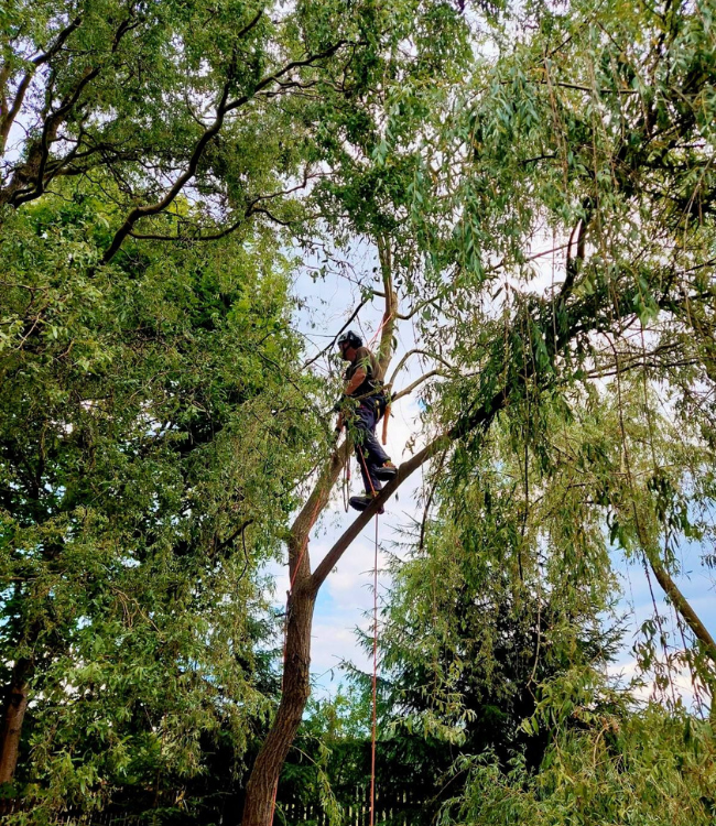 projekt bez nazwy (29)